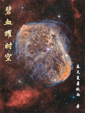 碧血狂殺二