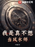 我真的是风水大师小说