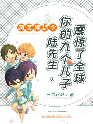 小说名《萌宝集结令:陆先生,你的九个儿子震惊了全球》