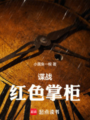 谍战:红色掌柜笔趣阁