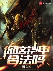 你这铠甲合法吗小说笔趣阁