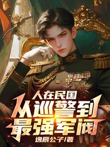 在民国当军阀小说完本