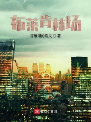 布林肯联合国