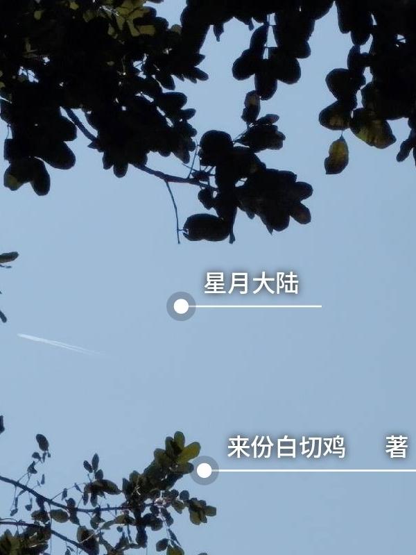 星月灿烂9