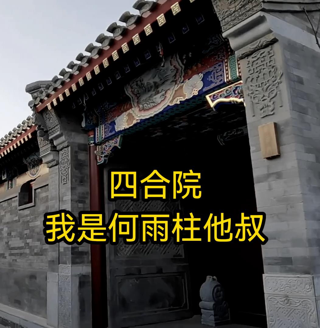 四合院:我是何雨柱他叔(良有)