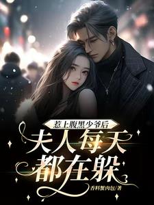 惹上腹黑秦少