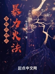 全职法师小说免费阅读无弹窗