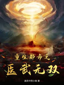 重生都市之医武狂婿