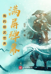 我的综武世界满屏弹幕免费