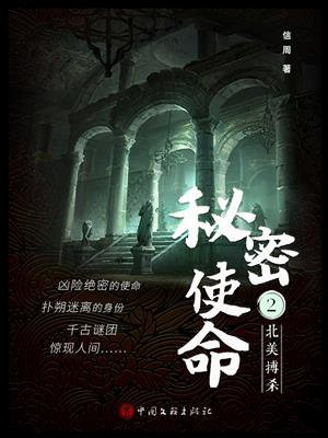 秘密使命 2:北美搏杀