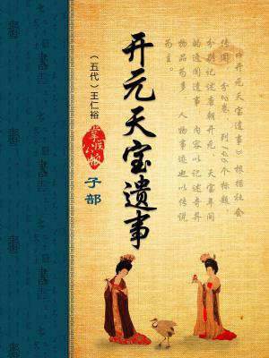 开元天宝遗事 PDF