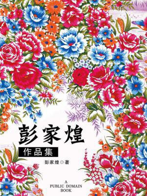 彭家煌导演