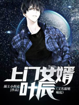 上门女婿叶辰(又名霸婿崛起,最强弃子) 小说