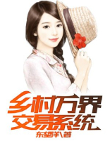 乡村万界交易系统 小说