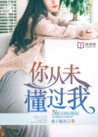 你从未懂过我燕子随风