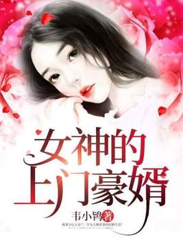 女神的上门豪婿小说免费阅读