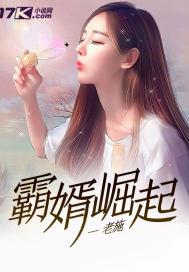 霸婿崛起免费完整版TXT下载