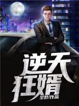 逆天狂婿 一剑长虹
