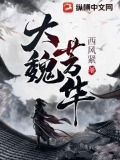 大魏芳华TXT免费下载