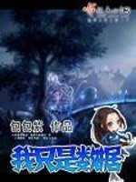 我只是数据 小说