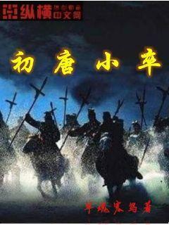 初唐小卒全本TXT下载