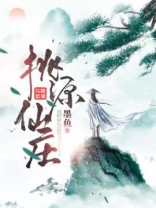 桃园仙庄怎么样