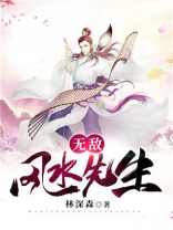 无敌风水先生下载