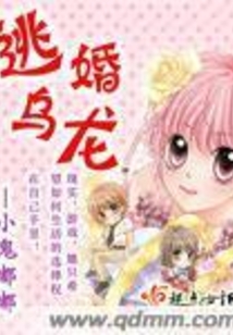 逃婚gl免费全文阅读