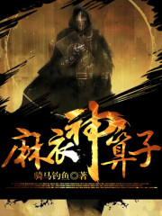麻衣神算子小说免费