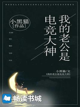 我的老公是电竞大神免费阅读全文