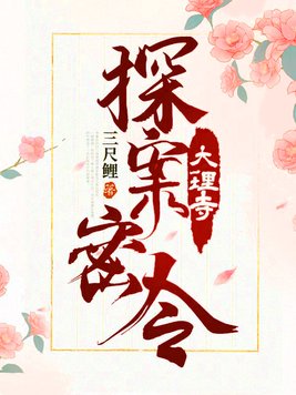 大理寺探案密令讲的什么