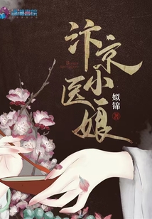 汴京小医娘小说免费阅读在线