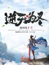 逆天圣宠小说