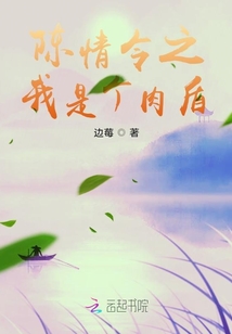陈情令之我是随便