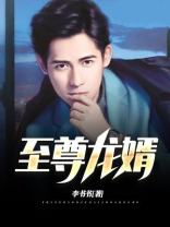 至尊龙婿叶辰大结局