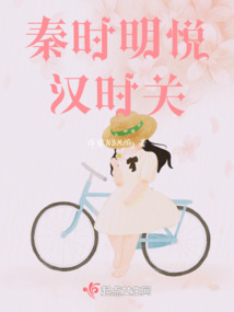 秦时明月汉时关 关