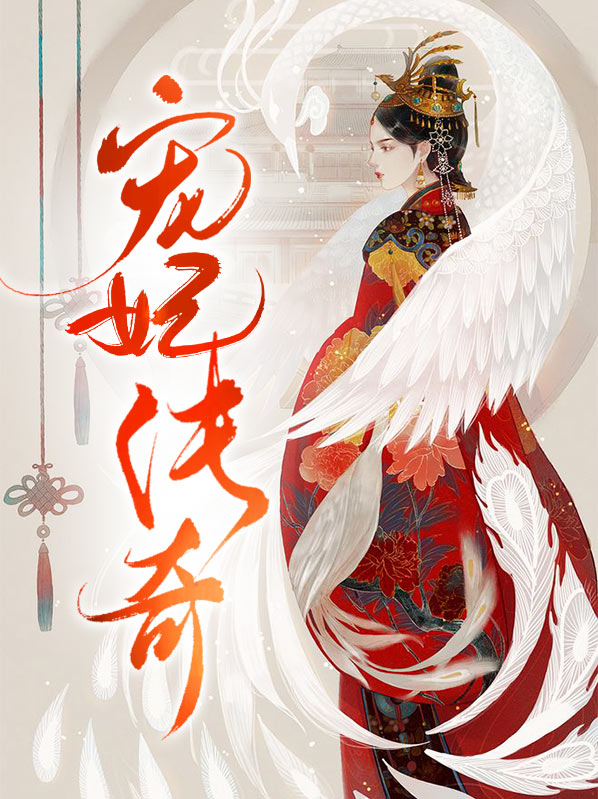 赝妃传奇评价