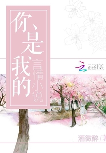 你是我的言情小说 酒微醉
