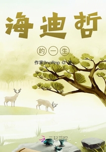 海迪彻是什么意思