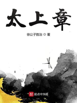 太上章小说TXT下载