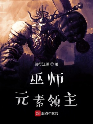 巫师:元素领主 骑行江湖下载