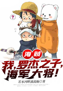 海贼我罗杰之子海军大将