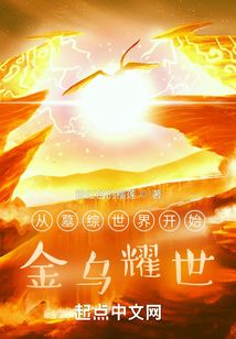 从墓综世界开始:金乌耀世