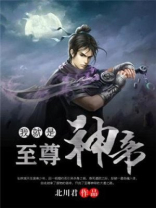 我是至尊全本