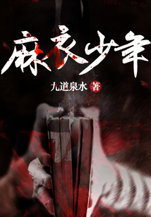 麻衣少年免费阅读