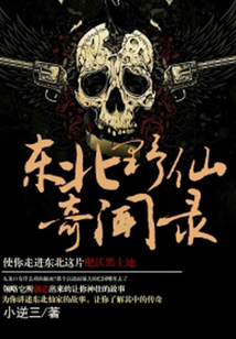 东北野仙奇闻录评论