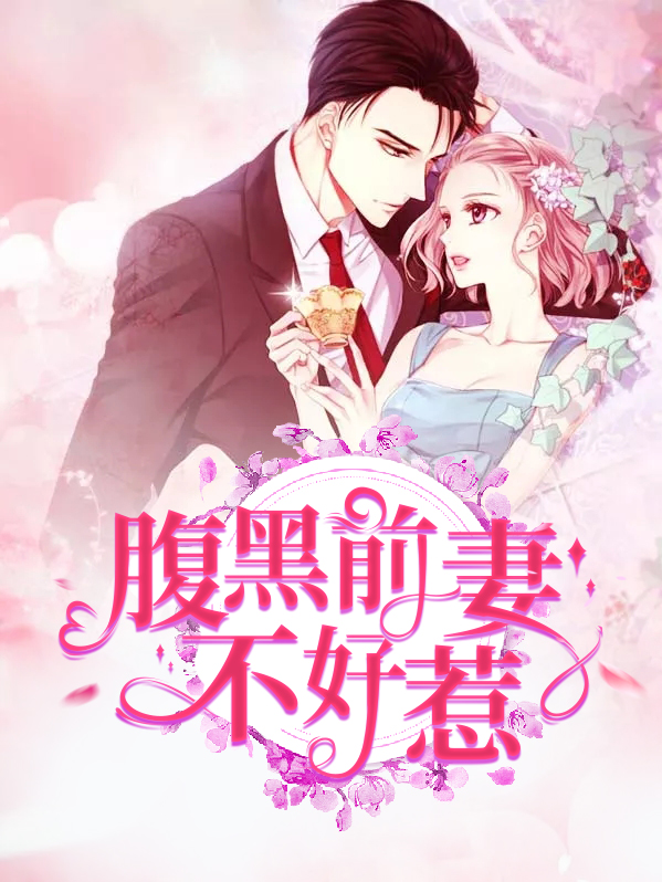 腹黑律师不好惹 小说