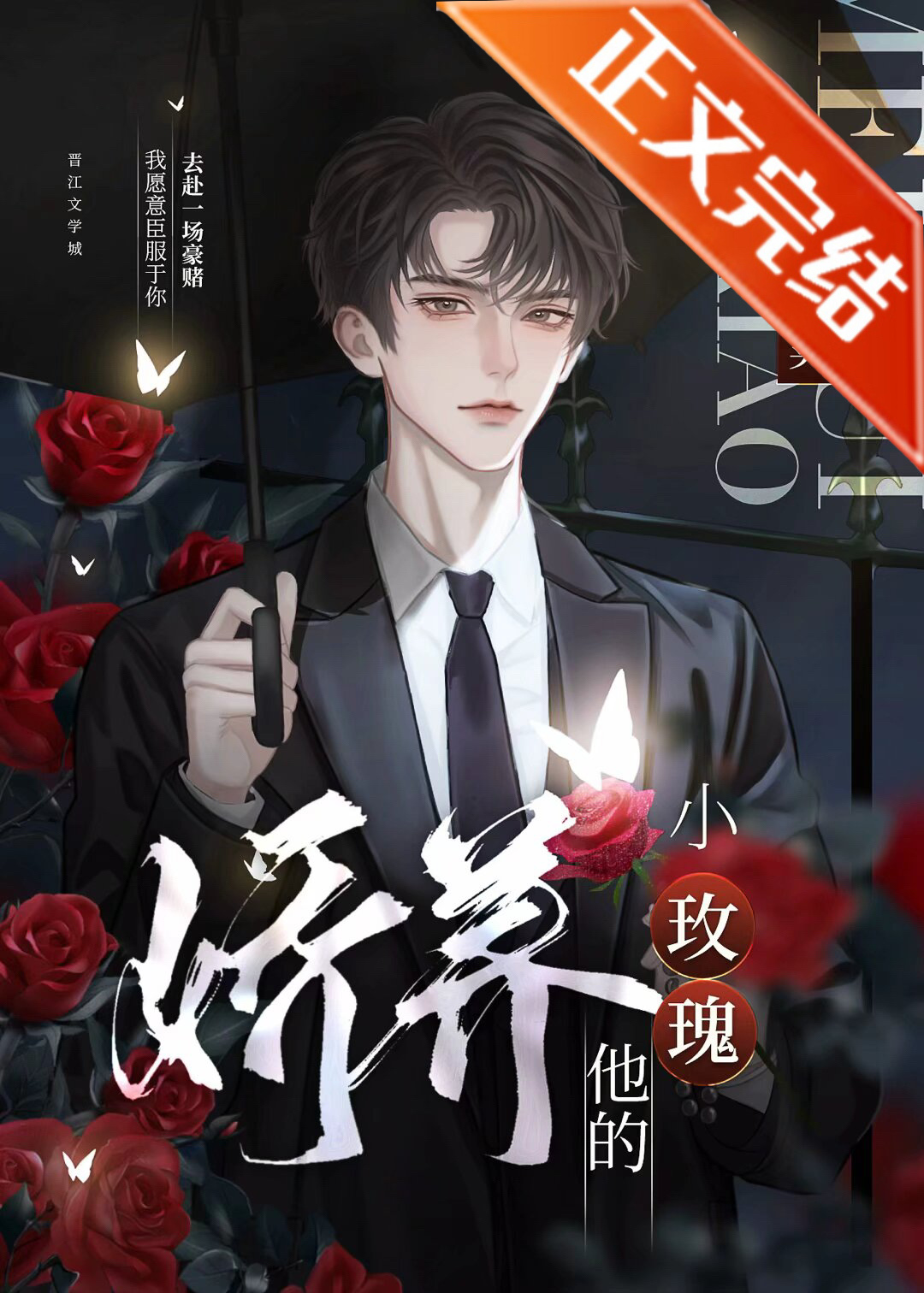 娇养他的小玫瑰 小说
