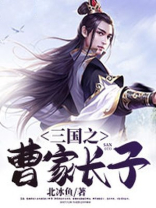 三国曹家长子大汉慈父小说免费阅读
