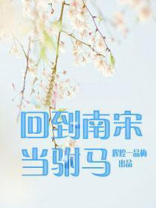 回到南宋当驸马的小说